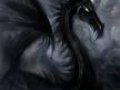 Black dragon.jpg